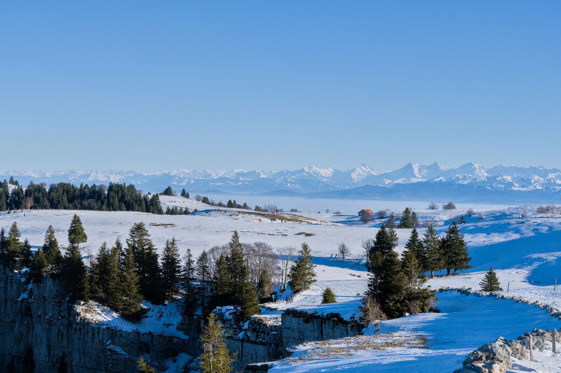 Rando gourmande : savourez le comté au cœur des paysages du Jura