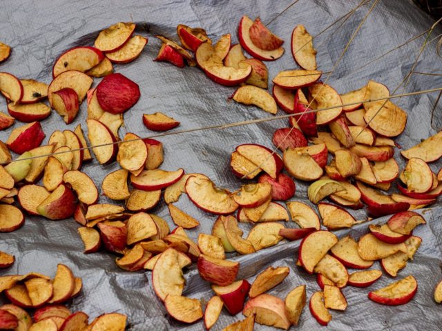 Meilleures méthodes pour conserver les restes de cuisine