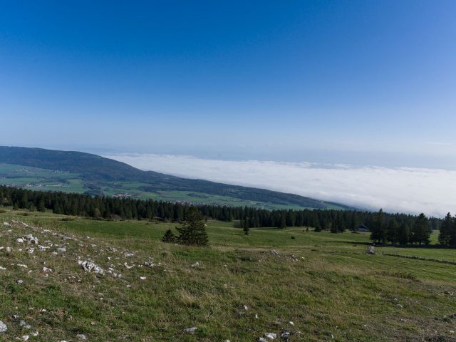 Rando gourmande : savourez le comté au cœur des paysages du Jura