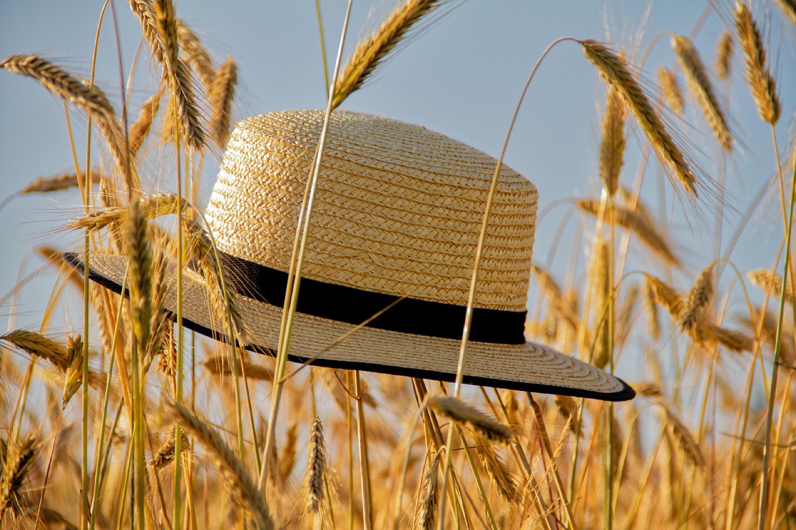 Arrière d'une casquette avec sa sangle de réglage et sa boucle
