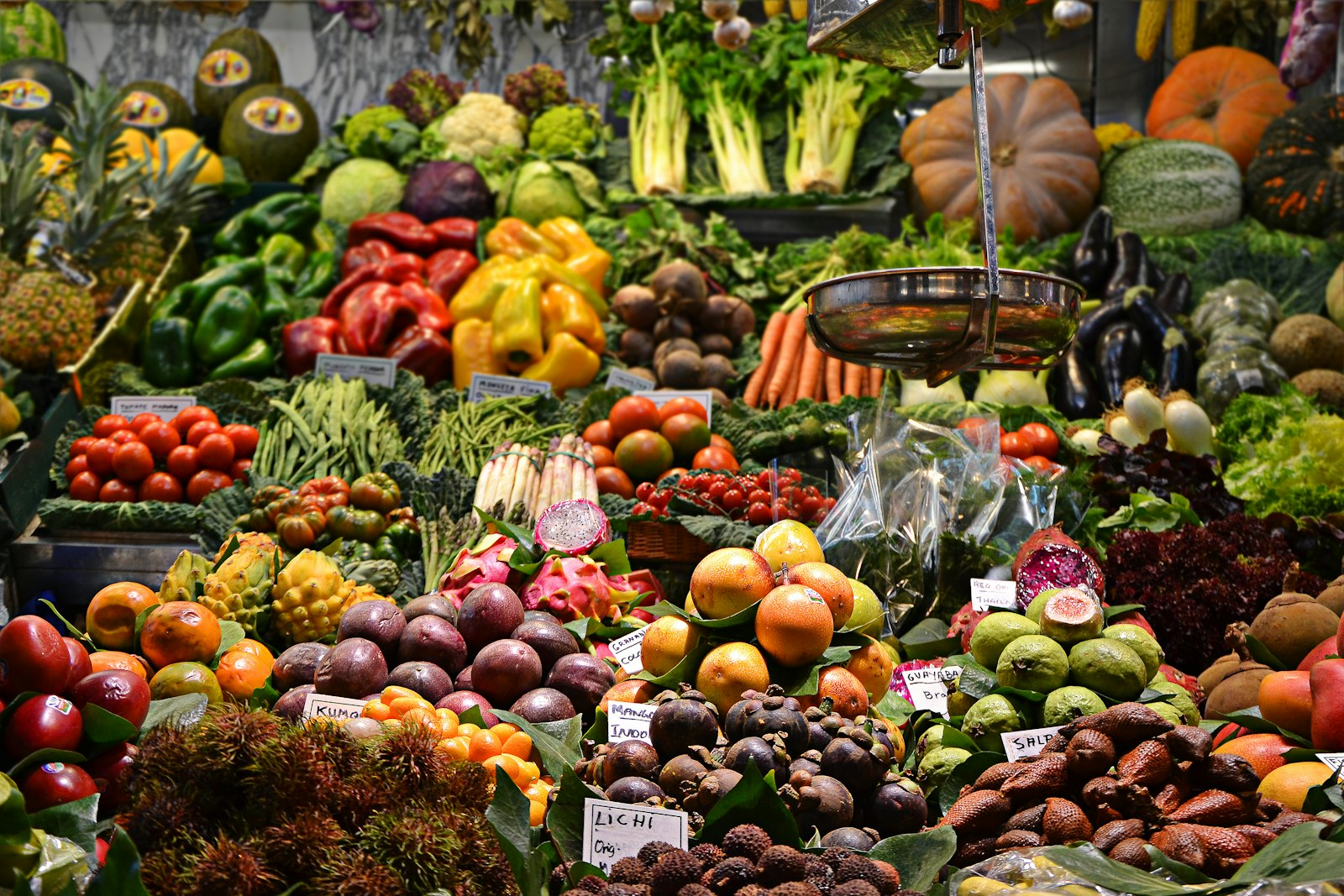 Adopter une alimentation équilibrée : 10 clés pour réussir