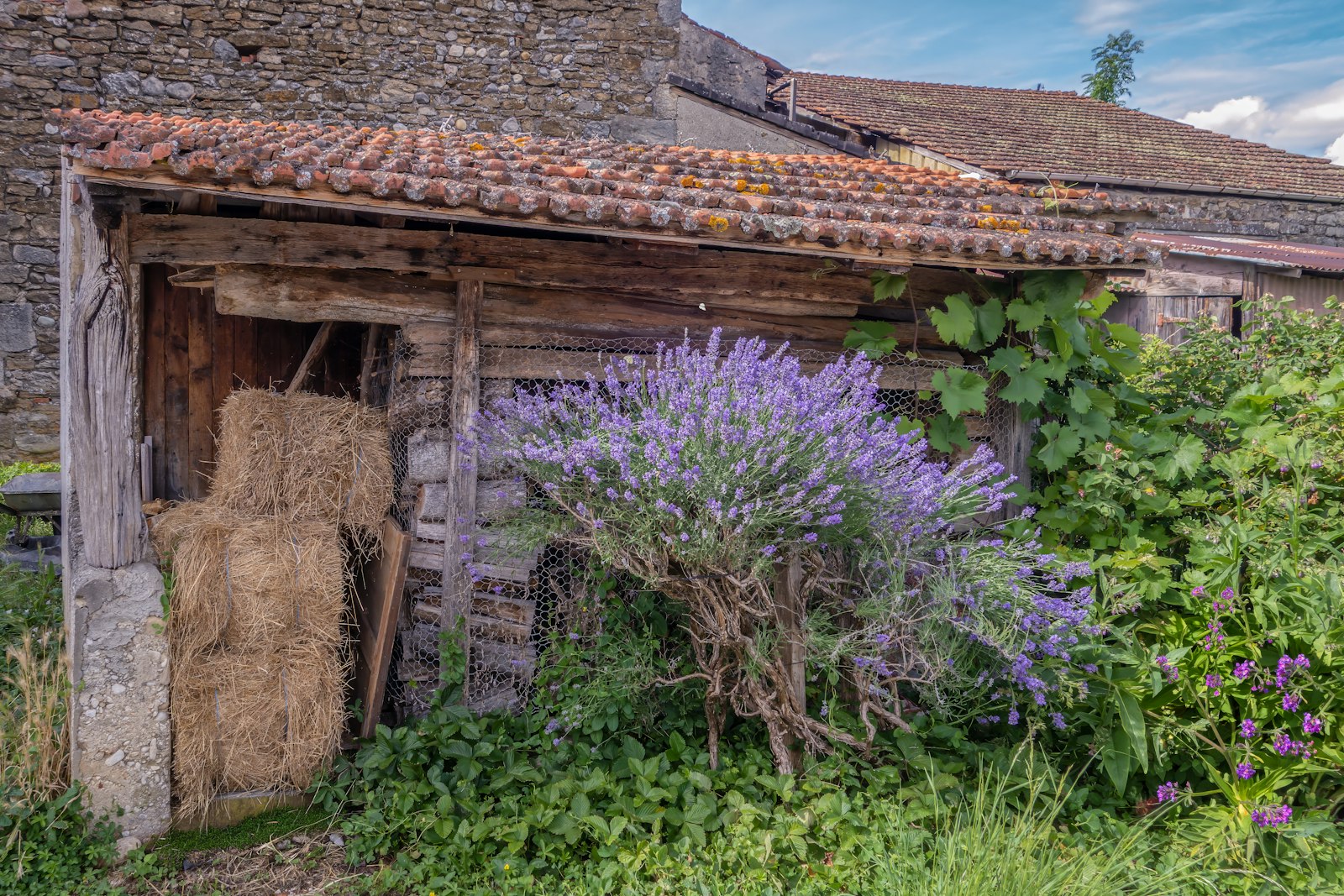 Réduisez votre empreinte carbone en voyage : 8 astuces incontournables