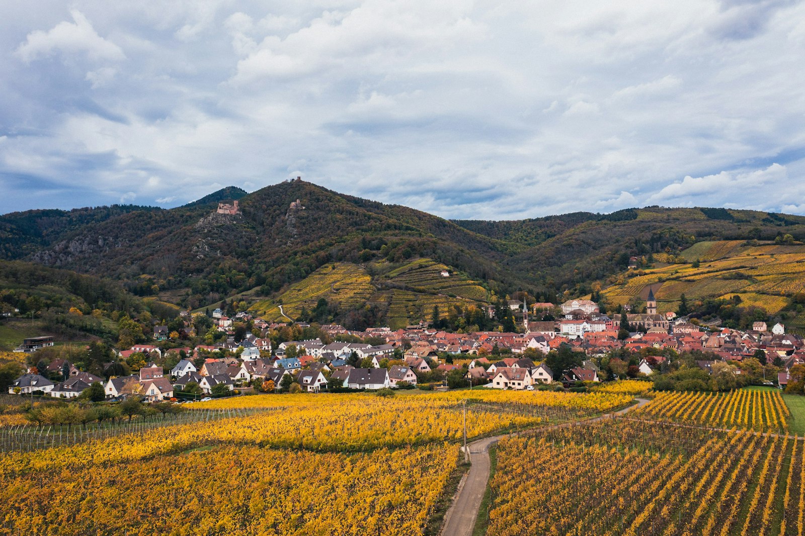 Le Super Comice 2026 : Une Renaissance Attendue pour l'Agriculture Franc-Comtoise