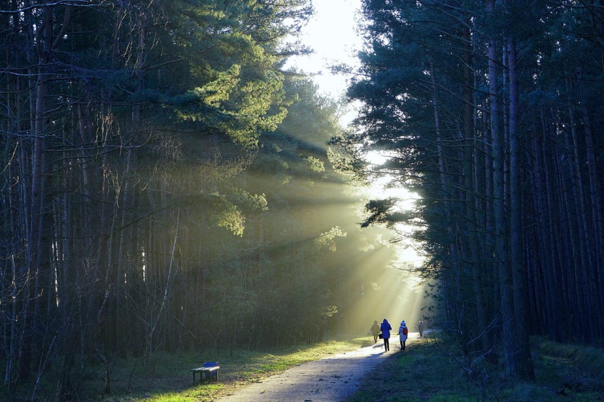 Les meilleurs parcours nature en Franche-Comté pour courir et marcher
