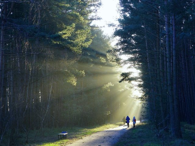 Les meilleurs parcours nature en Franche-Comté pour courir et marcher