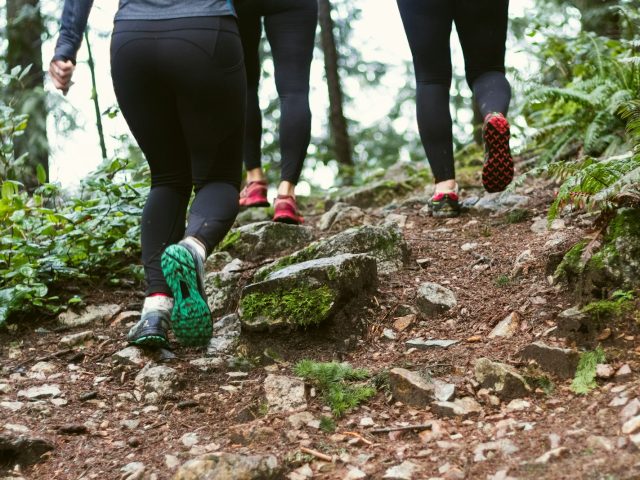Chamois dangereux à Besançon : la faune sauvage menace les joggeurs