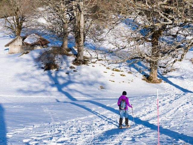Cette petite station de ski du Jura est en danger : les dons sont indispensables !