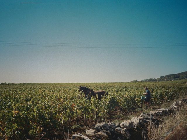 Pourquoi vivre à la campagne est plus qu’une tendance : avantages et défis