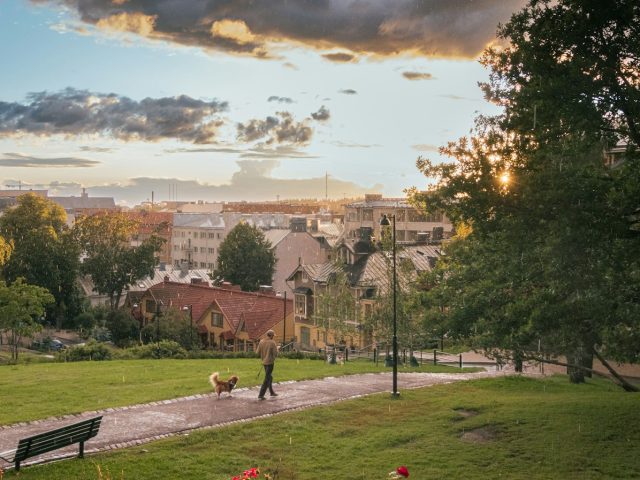 Canicule à Besançon : des solutions citoyennes pour un avenir durable