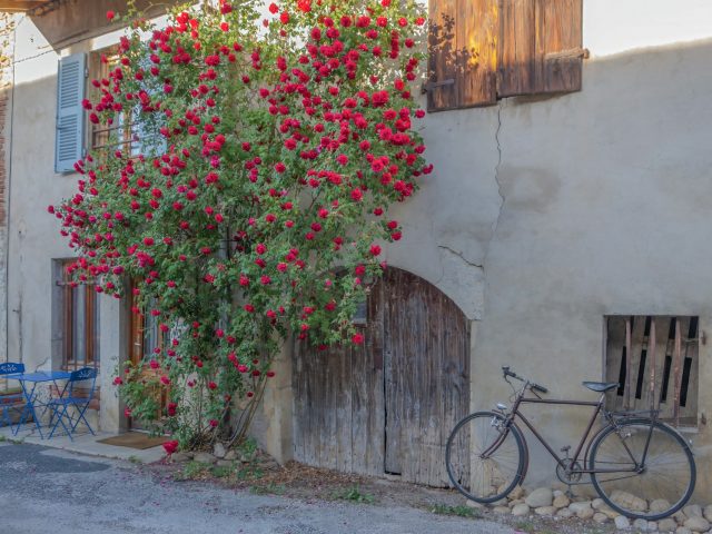 Réduisez votre empreinte carbone en voyage : 8 astuces incontournables