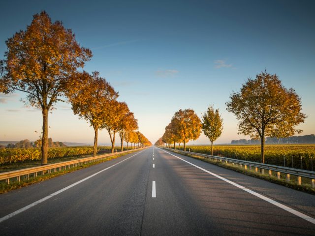 Élargissement de la RN57 à Besançon : des arbres abattus, un futur incertain pour l&rsquo;environnement