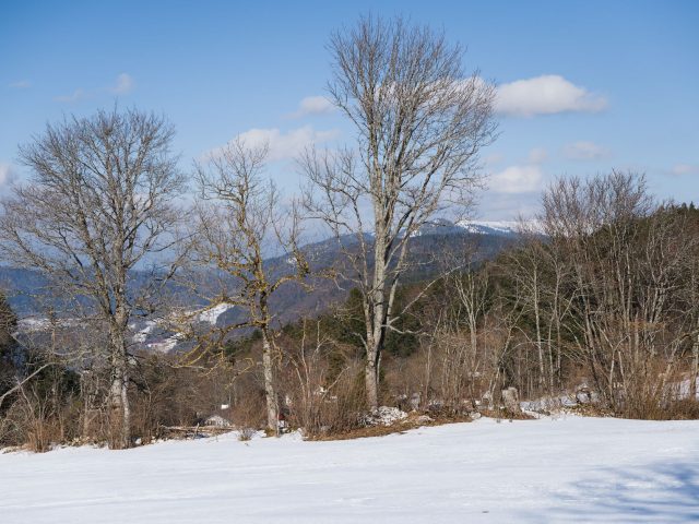 Premières Neiges : Une Opportunité Inespérée pour Revitaliser le Tourisme en Franche-Comté